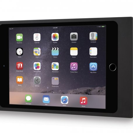 Рамка iPort Surface Mount iPad Mini 4 black (70722)