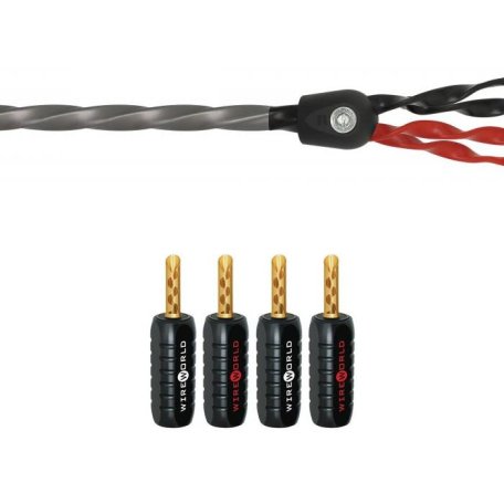 Акустический кабель Wire World Equinox 7 Biwire Speaker Cable 3.0m