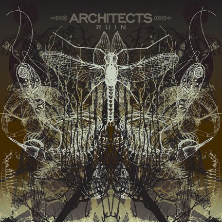 Виниловая пластинка Architects RUIN (LP+CD)
