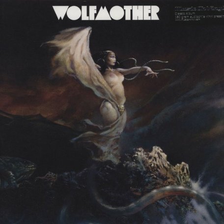 Виниловая пластинка Wolfmother - Wolfmother (Black Vinyl 2LP)