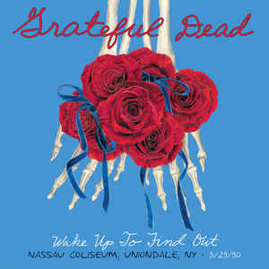Виниловая пластинка Grateful Dead WAKE UP TO FIND OUT: NASSAU COLISEUM, UNIONDALE NY 3/29/90 (Box set)