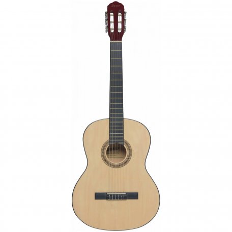 Классическая гитара Terris TC-390A NA