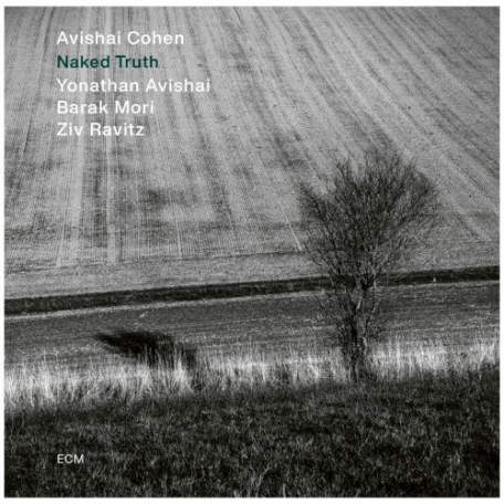 Виниловая пластинка Avishai Cohen Quartet - Naked truth (180 Gram Black Vinyl LP)