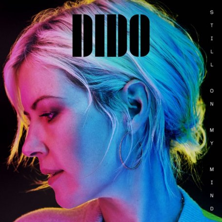 Виниловая пластинка Dido - Still On My Mind (Black Vinyl LP)