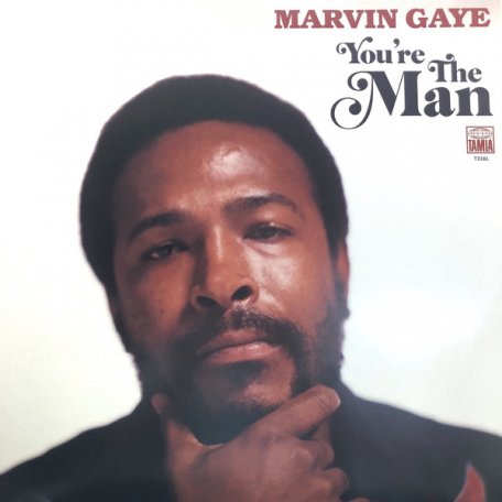 Виниловая пластинка Marvin Gaye, Youre The Man