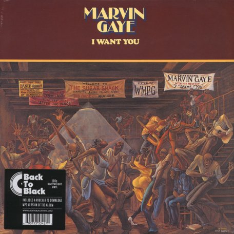 Виниловая пластинка Gaye, Marvin, I Want You