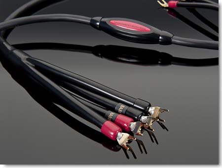 Акустический кабель Transparent Music Wave SC Bi-Wire (8ft)