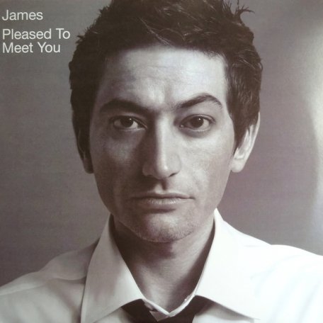 Виниловая пластинка James, Pleased To Meet You (2LP / 180gm Vinyl)