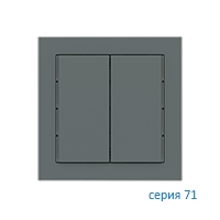 Ekinex Клавиша 71 прямоугольная вертикальная, EK-T2R-FVC,  2 шт,  материал - Fenix NTM,  цвет - Зеленый Коммодор