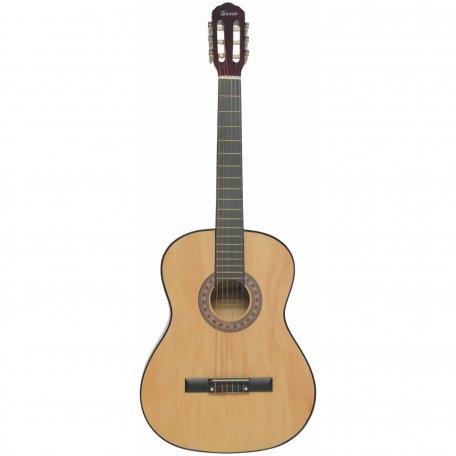 Классическая гитара Terris TC-3901A NA