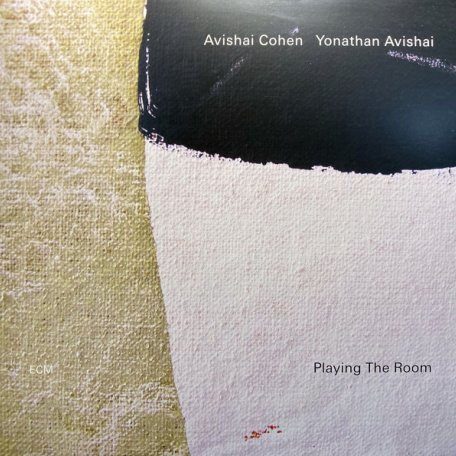 Виниловая пластинка Avishai Cohen / Yonathan Avishai, Playing The Room (LP 180 Gr)