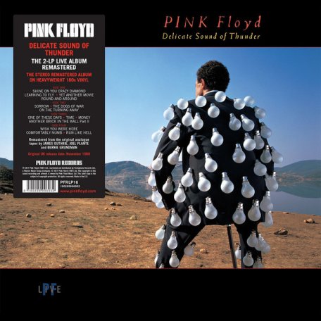 Виниловая пластинка Pink Floyd DELICATE SOUND OF THUNDER