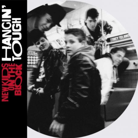 Виниловая пластинка New Kids On The Block — HANGIN TOUGH (National Album Day 2020 / Limited Picture Vinyl)