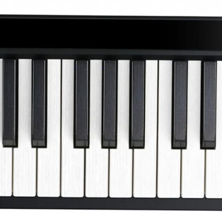 Midi-клавиатура Donner D-25