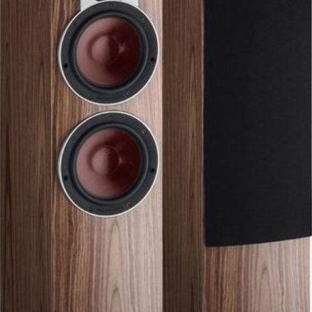 Напольная акустика Dali Rubicon 6 walnut