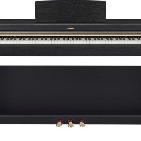 Клавишный инструмент Yamaha YDP-162B Arius