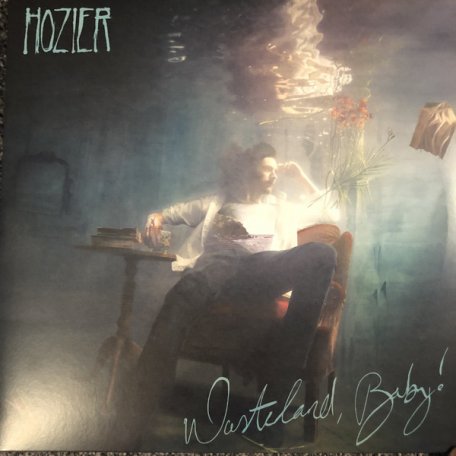 Виниловая пластинка Hozier, Wasteland, Baby! (Colourway Vinyl)