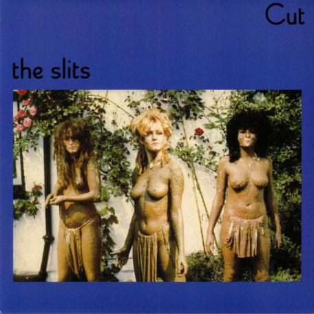 Виниловая пластинка The Slits, Cut