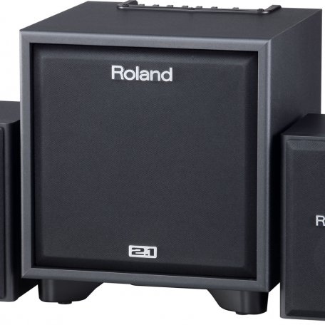 Комплект акустики Roland CUBE Monitor 110