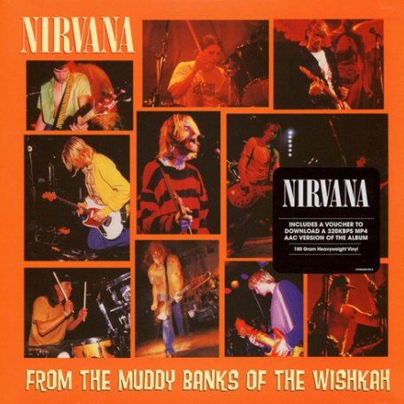 Виниловая пластинка Nirvana, From The Muddy Banks Of The Wishkah (Live)