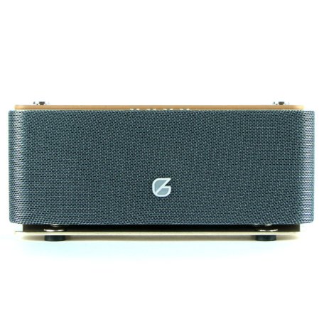 Портативная акустика GZ electronics LoftSound GZ-44 gold