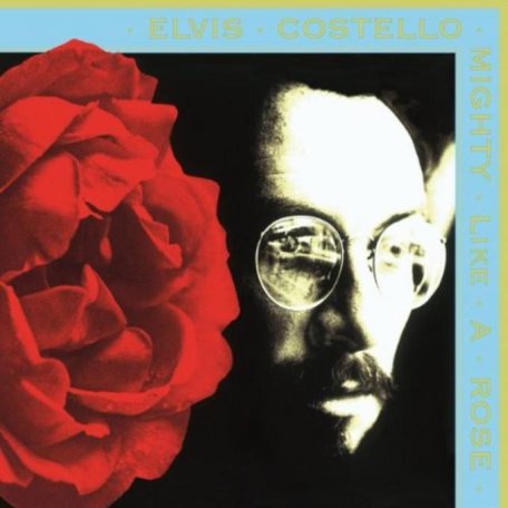 Виниловая пластинка Elvis Costello MIGHTY LIKE A ROSE (180 Gram)