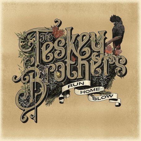 Виниловая пластинка The Teskey Brothers, Run Home Slow