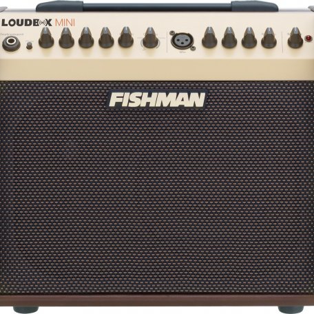 Комбо усилитель Fishman PRO-LBX-EX5(Loud Box Mini)