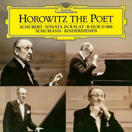 Виниловая пластинка Horowitz, Vladimir, The Poet