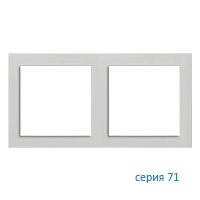 Ekinex Плата 71, EK-P2S-FGE,  2 поста (60х60),  материал - Fenix NTM,  цвет - Серый Эфес
