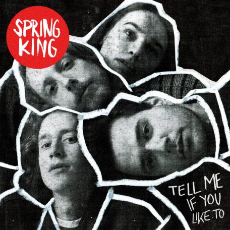 Виниловая пластинка Spring King, Tell Me If You Like To (Black Vinyl)