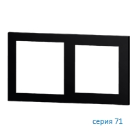 Ekinex Плата 71 пластиковая, EK-P2G-GAE,  2 поста (55х55 + 60х60),  цвет - интенсивный черный