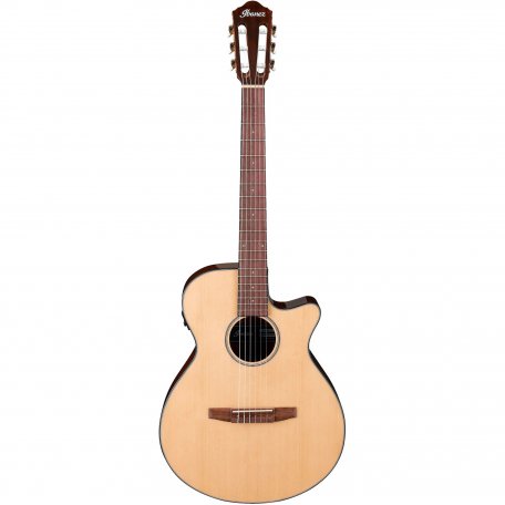 Электроакустическая гитара Ibanez AEG50N-NT