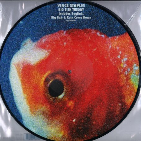 Виниловая пластинка Vince Staples, Big Fish Theory (Picture Disc)