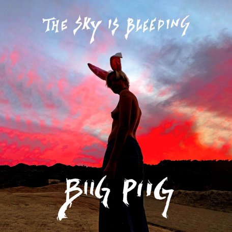 Виниловая пластинка Biig Piig - The Sky Is Bleeding (Black Vinyl)