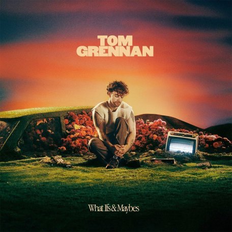 Виниловая пластинка Grennan Tom - What Ifs & Maybes (Black Vinyl LP)