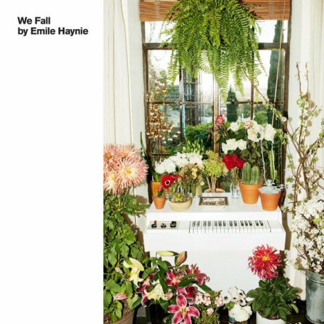 Виниловая пластинка Emile Haynie — WE FALL (LP)