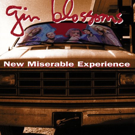 Виниловая пластинка The Gin Blossoms, New Miserable Experience
