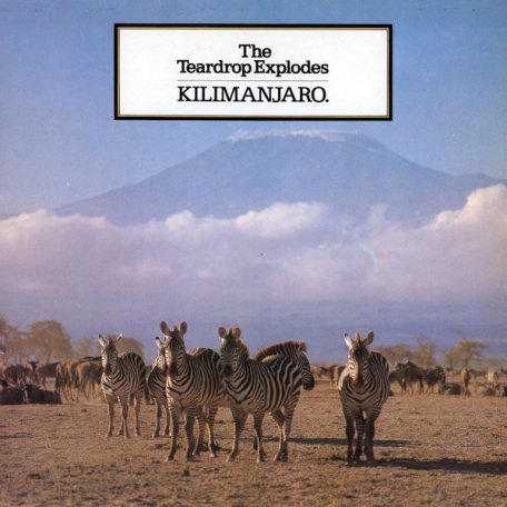 Виниловая пластинка The Teardrop Explodes, Kilimanjaro (2019 Reissue)