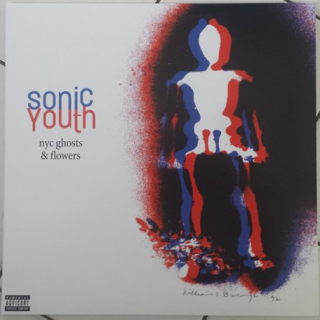 Виниловая пластинка Sonic Youth — NYC GHOSTS & FLOWERS (LP)