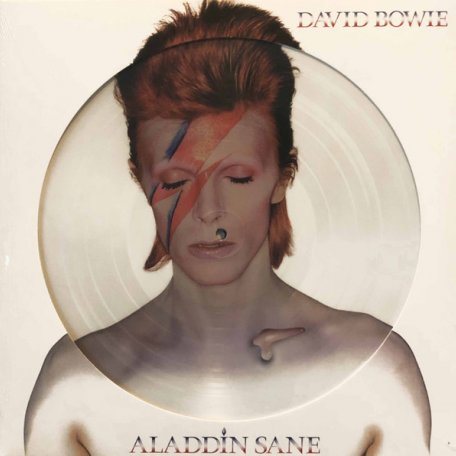 Виниловая пластинка David Bowie - Aladdin Sane (picture) (Black Vinyl LP)