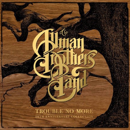 Виниловая пластинка The Allman Brothers Band - Trouble No More (Box)