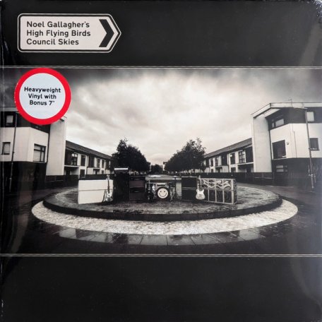 Виниловая пластинка Noel Gallaghers High Flying Birds - Council Skies (180 Gram Black Vinyl 2LP)