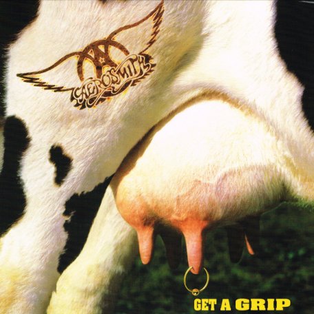 Виниловая пластинка Aerosmith, Get A Grip