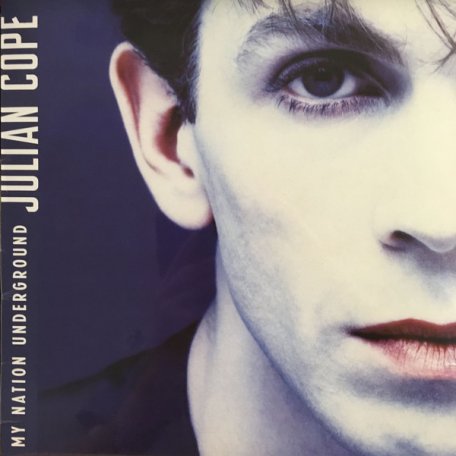 Виниловая пластинка Julian Cope — MY NATION UNDERGROUND (LP)