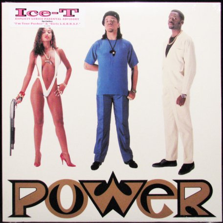 Виниловая пластинка Ice-T POWER