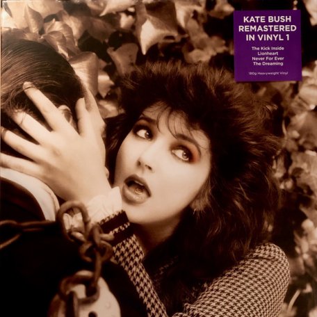 Виниловая пластинка PLG Kate Bush Remastered In Vinyl I (Limited Box Set/Black Vinyl)
