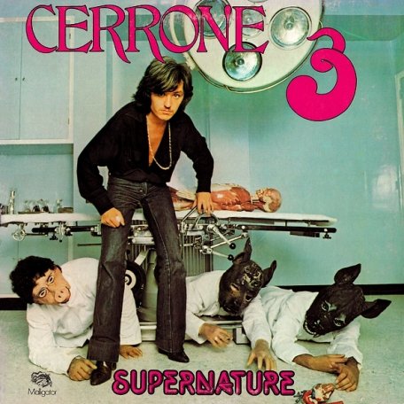 Виниловая пластинка Cerrone Supernature