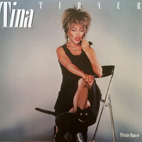 Виниловая пластинка Tina Turner PRIVATE DANCER (30TH ANNIVERSARY) (180 Gram)