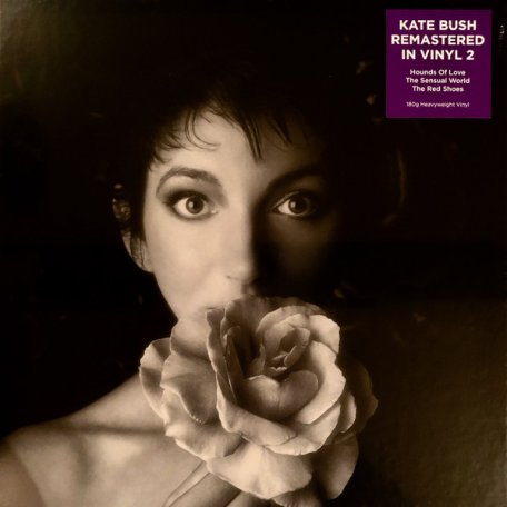 Виниловая пластинка PLG Kate Bush Remastered In Vinyl Ii (Limited Box Set/Black Vinyl)